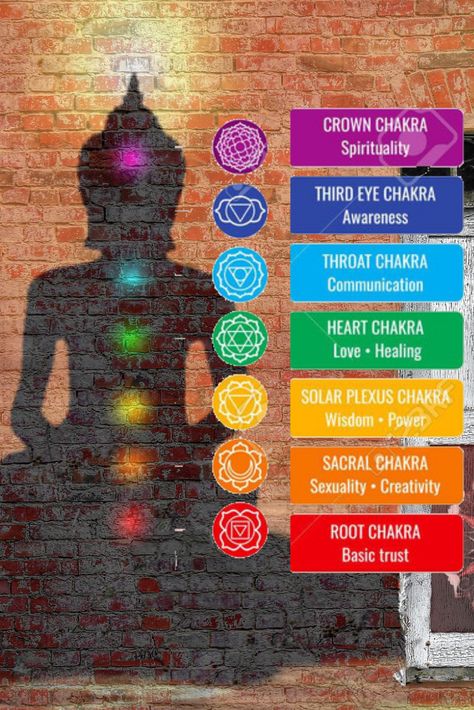 Here is the general meaning & location of each of our 7 chakras or energy centers in our bodies. Chakras Meaning, Divine Oneness, Energy Centers, Seven Chakras, Solar Plexus Chakra, Sacral Chakra, 7 Chakras, Third Eye Chakra, Spiritual Wisdom