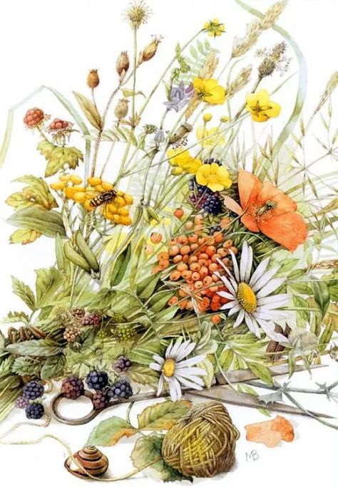 Marjolein Bastin, Nature Artists, Deco Floral, Dutch Artists, Bastille, Arte Floral, Art Watercolor, Botanical Illustration, Botanical Art