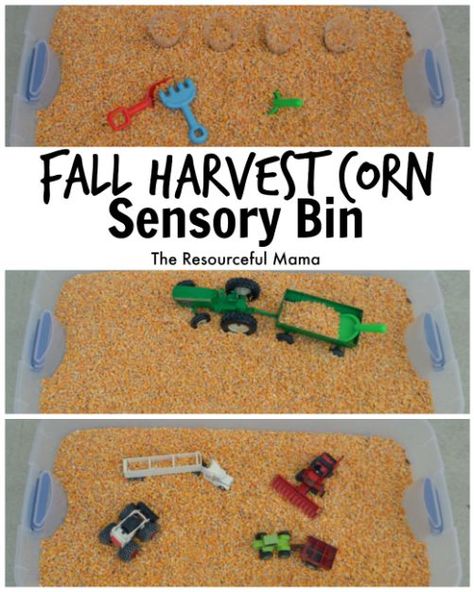 We of the best things about fall is harvest and playing in the corn! This corn sensory bin is so easy to make and will provide hours of fun! Corn Sensory Bin, Preschool Harvest, Fall Festival Activities, Harvest Activities, School Fall Festival, Fall Sensory Bin, Fall Festival Games, Harvest Corn, Fall Harvest Party