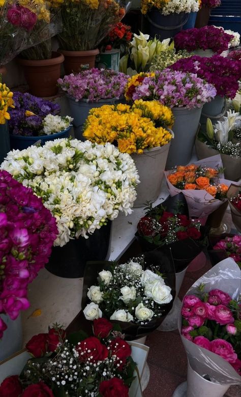 Nature Aesthetic Pictures, Windows Xp Wallpaper, Puffy Clouds, Boquette Flowers, Nothing But Flowers, A Breath Of Fresh Air, Bouquet Arrangements, Flower Therapy, Beautiful Bouquet Of Flowers