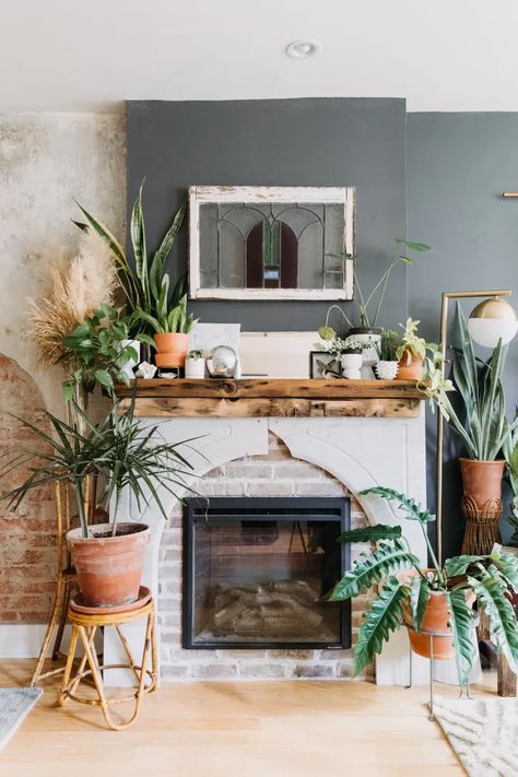 South Philadelphia Home Tour Photos | Apartment Therapy Apartment Composting, Plants Apartment, Valspar Colors, Kitchen Container, Urban Outfitters Home, South Philly, Fireplace Facade, Planting Ideas, Fireplace Surround