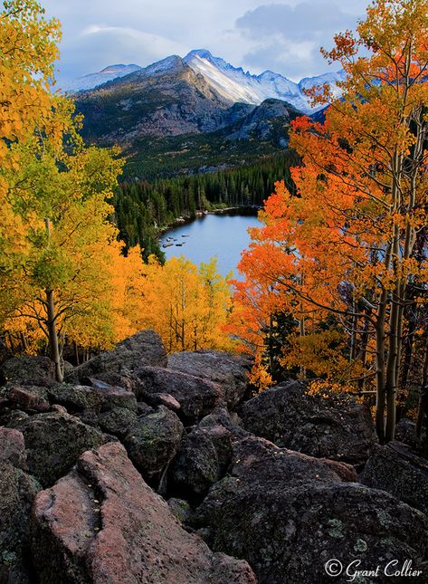 Rocky Mountain National Park, Bear Lake, Longs Peak Longs Peak, Mesa Verde National Park, Black Dagger Brotherhood, Mountain Lakes, Last Ride, Aspen Trees, Colorado Travel, Bear Lake, Beautiful Places Nature