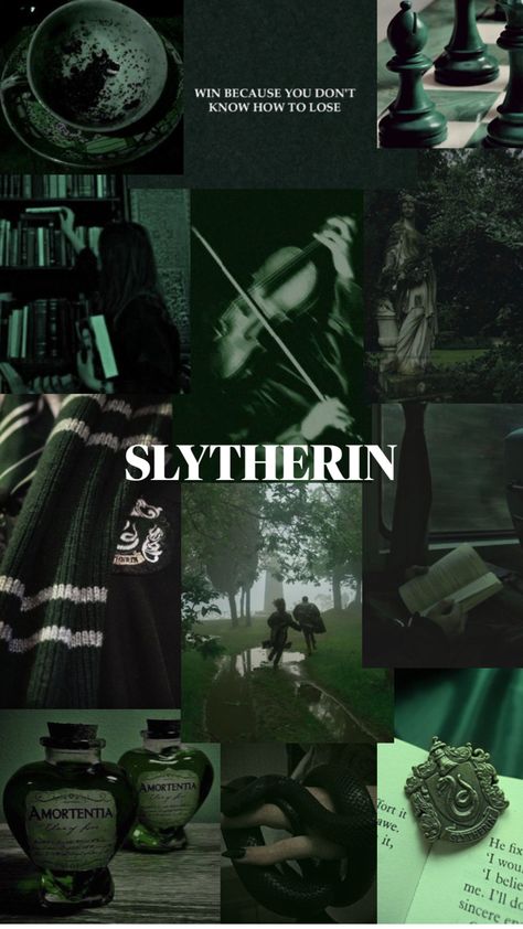 Slytherin Wallpaper Aesthetic, Slytherin Core, Slytherin Princess, Snake House, Slytherin Quotes, Harry Potter Iphone Wallpaper, Slytherin Stuff, Slytherin Wallpaper, Harry Potter Iphone