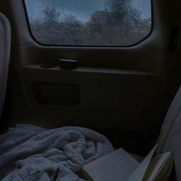 Dark Weather, Rain Aesthetic, Rainy Day Aesthetic, Positive Traits, Forest Pictures, Falling In Love Again, Summer Rain, Pretty Landscapes, Sound Of Rain