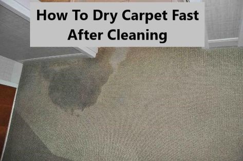 The Ultimate Guide On How To Dry Carpet Fast After Cleaning Steam Clean Carpet, Shop Vac, What To Use, Types Of Carpet, Steam Cleaning, Large Carpet, Drying Towels, Water Stains, How To Clean Carpet