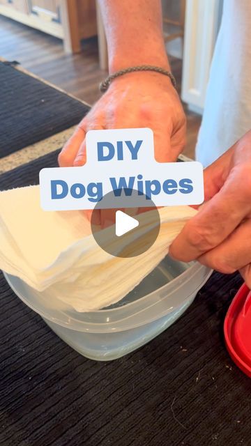 Becky's Pet Care Inc. on Instagram: "You don’t have to buy expensive dog wipes at the pet store anymore. Here’s a simple do it yourself recipe for all natural, homemade dog wipes.  1 cup of water 2 tbsp apple cider vinegar, 4 tablespoons of melted organic coconut oil  20 drops of lavender.  Mix well in a plastic Tupperware container with lid. Fold your paper towels and slowly press them in the liquid. Add as many paper towels as necessary. Because you don’t want them to be too watery. (15 to 25) depending on paper towel brand) You can use this in  your dog’s ears, on their paws, on their body, and are great for yeast infections. Save and share this and follow for more Wellness Wednesday tips. #DIYdogwipes #naturaldogwipes #homemadedogwipes #wellnesswednesday #beckyspetcare #northernvirgini Dog Cleaning Hacks, Yeast Paws Dogs, Diy Dog Wipes Cleaning, Dog Paw Cleaning Station, Diy Dog Wipes, Wellness Wednesday Tips, Apple Cider Vinegar Dogs, Apple Cider Vinegar For Dogs, Paw Cleaner For Dogs