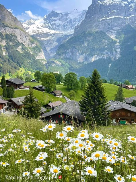 Grindelwald, Switzerland Switzerland Village, Switzerland Grindelwald, Switzerland Wallpaper, Switzerland Nature, Grindelwald Switzerland, Switzerland Mountains, Switzerland Photography, Beautiful Landscape Photography, Green Country