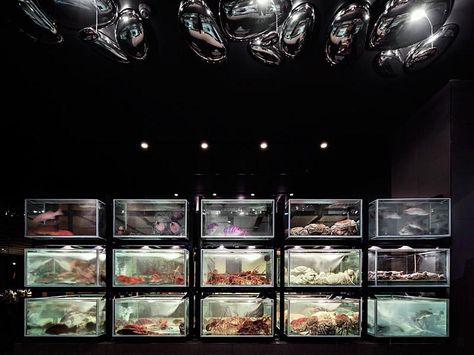 fish tanks Seafood Tank, Restaurant Bar Design, Bar Design Awards, Seafood Market, Champagne Bar, London Bars, Fibre Optics, Bar Styling, Bar Design Restaurant