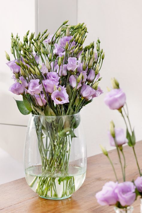 Lisianthus Piccolo|Lisianthus|Eustoma Eustoma Wedding, Lisianthus Eustoma, Eustoma Bouquet, Lisianthus Flowers, Night Clouds, Flower Identification, Tiny Wedding, Special Flowers, Lilac Flowers