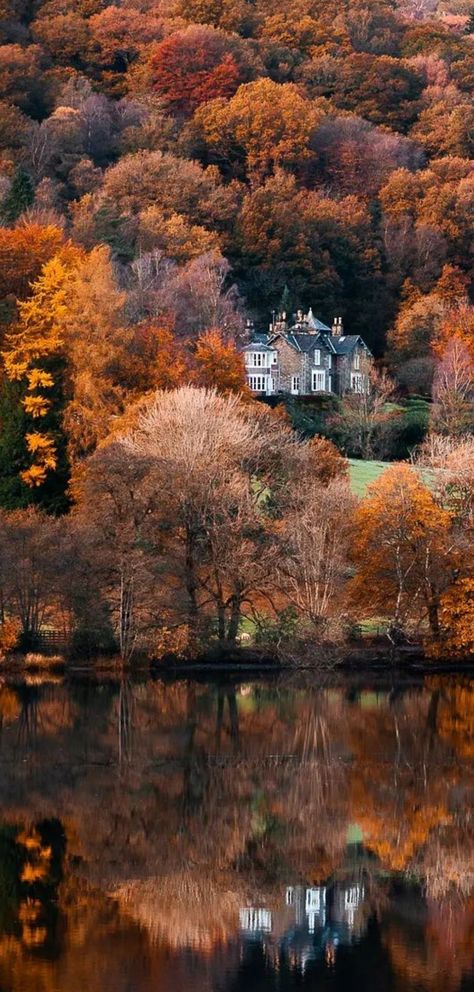 Close your eyes and dream of England - Autumn at Grasmere, The Lake District... Lake District Wedding, Lake District England, Tree Magic, Autumn Lake, The Lake District, Pretty Photos, Autumn Landscape, English Countryside, Autumn Photography