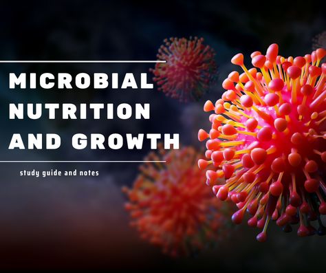 Struggling with microbial growth and nutrition? These detailed notes are your go-to resource! Perfect for microbiology students, they cover everything from microbial metabolism to growth phases. Get a clear understanding and improve your grades effortlessly!

#Microbiology #StudyNotes #MicrobialGrowth #Nutrition #ExamPrep #ScienceStudents #MicrobialMetabolism #BiologyNotes #StudentSuccess #EducationResources Microbial Metabolism, Biology Major, Reading Tutoring, Science Writing, University Courses, Biology Notes, Exam Prep, Science Student, Class Notes