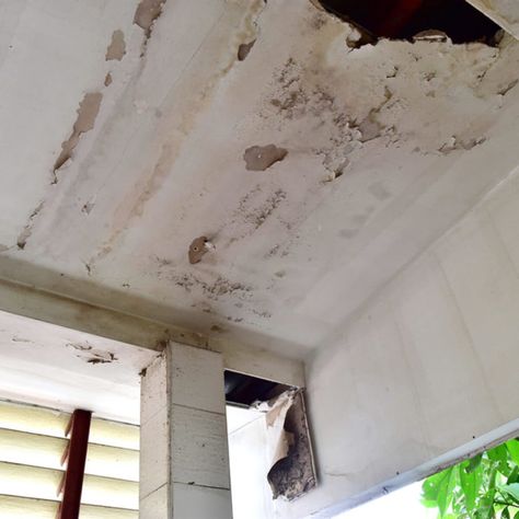 Water Damaged Ceiling, Repair Ceilings, Ceiling Leak, Southern Aesthetic, Plaster Repair, Roof Problems, Water Damage Repair, Plaster Ceiling, Fire Water