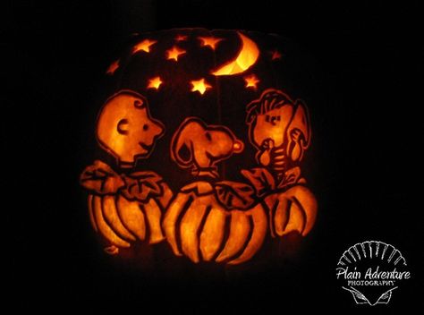 Charlie Brown Pumpkin by Plain Adventure, via Flickr Charlie Brown Pumpkin Carving, Charlie Brown Pumpkin, Halloween Pumpkin Templates, Cute Pumpkin Carving, Halloween Pumpkin Carving Stencils, Pumkin Carving, Great Pumpkin Charlie Brown, Creative Pumpkin Carving, Pumpkin Carving Designs