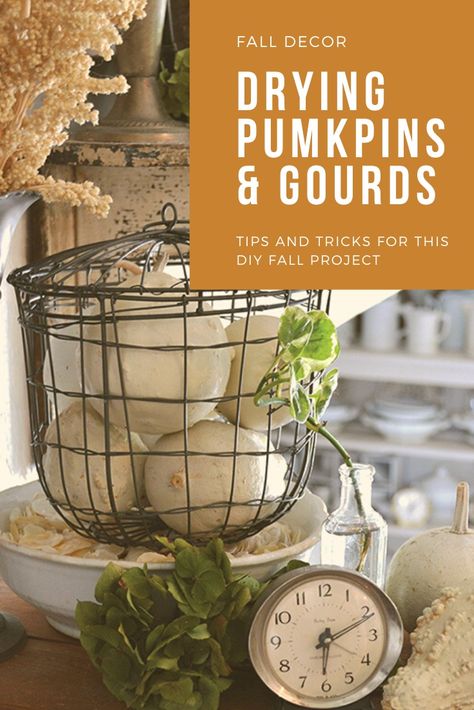 How to Dry Pumpkins and Gourds. See more at cottagesandbungalowsmag.com #cottagesandbungalows #gourds #pumpkins #drypumpkins #decor #fall #autumn #thanksgiving #DIY How To Dry Gourds, Decoupage Pumpkins, Pumpkins And Gourds, Home Decor Indian, Indian Corn, Cottages And Bungalows, Cottage Inspiration, Cottage Style Decor, Thanksgiving Diy