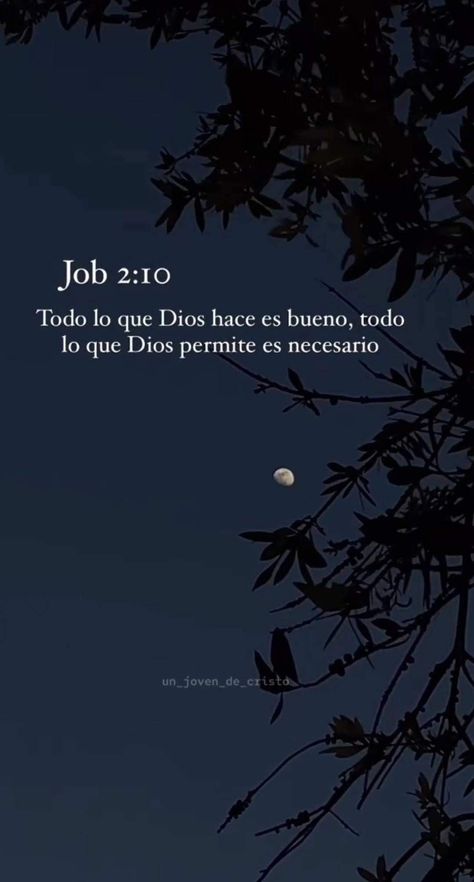 Spanish Verses Bible, God Quotes In Spanish, Bible Quotes In Spanish, Spanish Christian Quotes, Bible Verses In Spanish, Spanish Bible Verses, Bible Verse In Spanish, Spanish Scriptures, Bible Verse Spanish