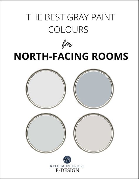 Colors For North Facing Rooms, Colonnade Gray, North Facing Rooms, North Facing Room, Best Sherwin Williams Paint, Kylie M Interiors, Dining Room Wall Color, Warm Grey Paint Colors, Best Gray Paint