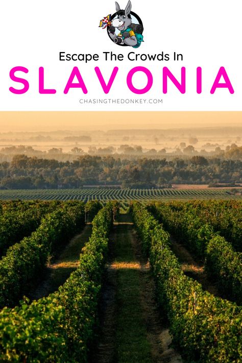 Croatia Travel Blog: Head to Eastern Croatia to discover the country's incredible region of Slavonia and to avoid the crowds at the same time! With so much to do, we've covered some of the top things to do in Slavonia that are social distance friendly and full of culture and local delights. #Slavonia #Croatia #SlavoniaCroatia #CroatiaTravel Slavonia Croatia, Things To Do In Croatia, Croatia Travel Guide, Beautiful Vacation Destinations, Balkans Travel, Croatia Holiday, Plitvice Lakes National Park, Visit Croatia, Plitvice Lakes