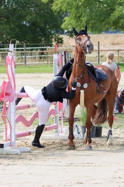 Falling Off Horse, Horse Falls, Horse Fails, Autumn Horse, Chestnut Horses, People Falling, Horse Standing, English Horse, Horse Boarding