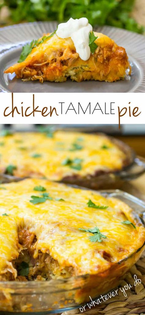 Chicken Tamale Pie Delish, Tamale Recipes, Chicken Tamale Pie, Chicken Tamale, Tamale Pie Recipe, Dinner Pies, Chicken Tamales, Mexican Rice Recipes, Tamale Recipe