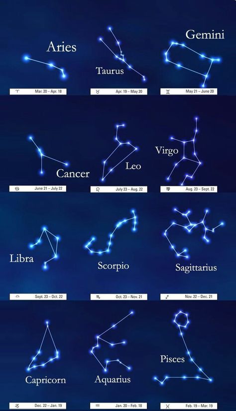 Constellation Wall Art, Astronomy Facts, Astronomy Constellations, The Zodiac Signs, Star Constellations, Astrology Chart, Astrological Sign, Zodiac Art, Zodiac Constellations