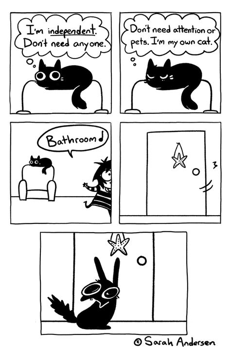 Oq???????? Sarah Anderson Comics, Sarah's Scribbles, Sarah Andersen, Cat Comics, Cute Comics, Animal Memes, Comic Strip, Cat Mom, Funny Comics