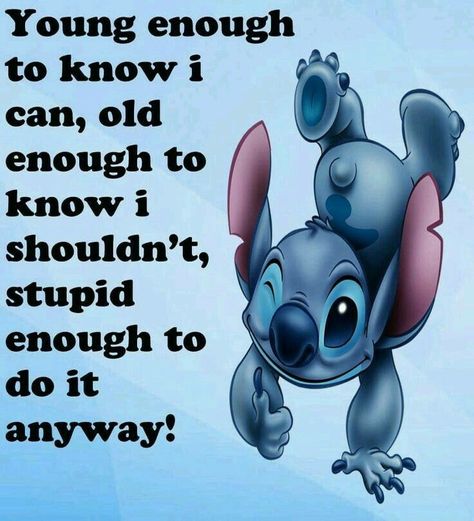 Stitch Jokes, Lilo And Stitch Memes, Funny Stitch, Lilo And Stitch Movie, Funny Quotes Wallpaper, Stitch Quotes, Lilo And Stitch Quotes, Disney Quotes Funny, Stitch Quote