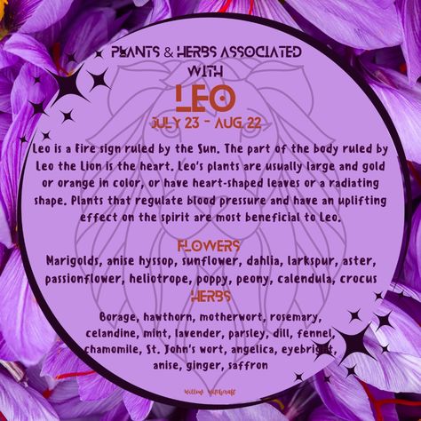 Herbs For Leo, Leo Herbs, Zodiac Herbs, Leo Witch, Plant Magick, Witchy Astrology, Witch Astrology, Moonlit Path, Herb Tattoo