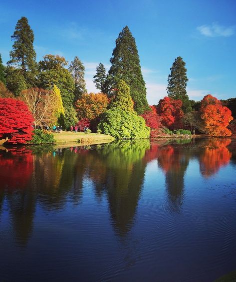 Sheffield Botanical Gardens, Park In Autumn, English Landscape Garden, Fall Nature, Back Garden Design, Travel Budget, Autumn Nature, Nature Preserve, Travel Sites