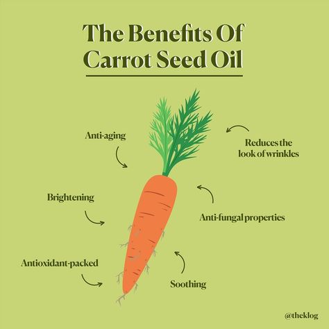 Carrot Oil For Skin, Carrot Seed Oil Benefits, Hoodoo Herbs, Massage Oils Recipe, Simple Beauty Routine, Oils Benefits, Skincare Content, Massage Routine, Carrot Oil