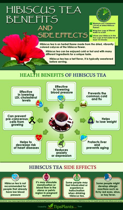 Benefits Of Hibiscus Tea, Benefits Of Hibiscus, Hibiscus Tea Benefits, Calendula Benefits, Matcha Benefits, Lemon Benefits, Coconut Health Benefits, Benefits Of Coconut Oil, Hibiscus Tea