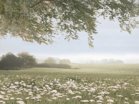 size: 12x9in Art Print: Landscape And Flowers 2, 2024 by Jesse Carter : Cottage Core Background, Scenery Pictures, Pretty Images, Iphone Wallpaper Themes, Vintage Landscape, Green Nature, Vintage Art Prints, Background Vintage, Flower Field