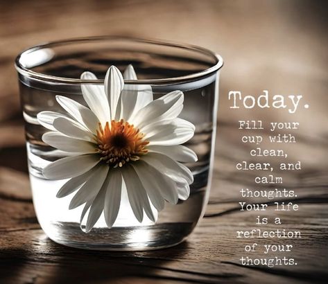 In My Jar Today Quotes, Recovering Quotes, Express Quotes, September Inspiration, Mindset Quotes Inspiration, Compassion Quotes, Daily Quotes Positive, Inspirational Words Of Wisdom, Today Quotes