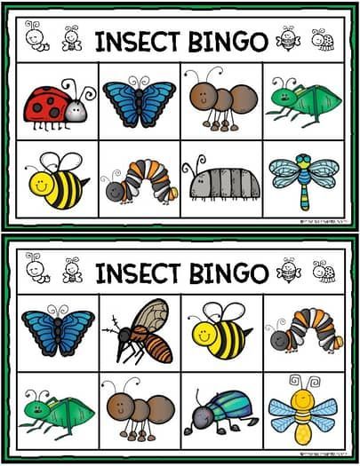 Insect BINGO Preschool Insects Activities, Book Woman, Free Bingo Cards, Insects Preschool, Bugs Preschool, Insect Activities, Bingo Template, Insect Crafts, Insects Theme