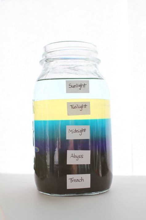 Ocean Zones In A Jar, Apologia Zoology 2 Swimming, Levels Of The Ocean, Ocean Learning Activities, Ocean Levels, Ocean Layers, Ocean Zones, Ocean Projects, Ocean Unit