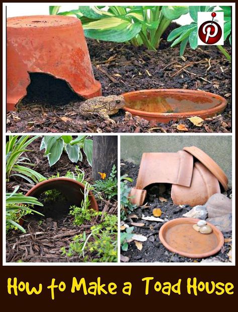 How to Make a Toad House.....  upcycled broken terra cotta pots. Frog Habitat, Landscaping Around House, Toad House, Container Water Gardens, Wildlife Gardening, Have Inspiration, Backyard For Kids, Garden Cottage, Clay Pots