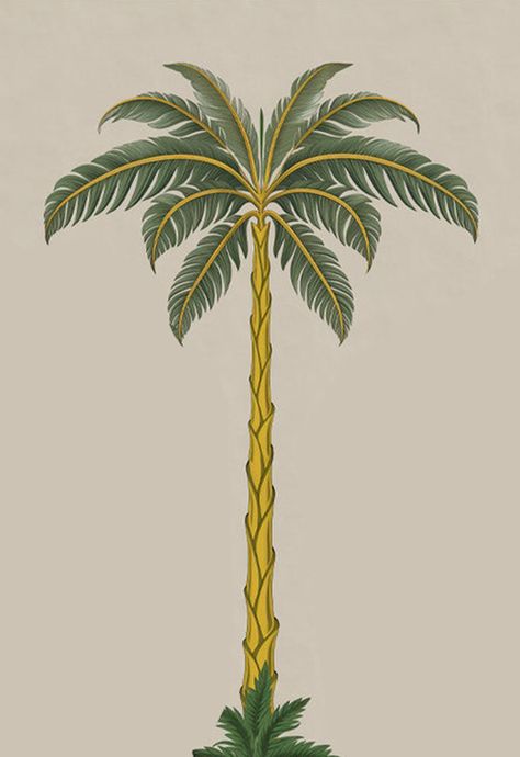 Tropical Pattern Design, Palm Tree Illustration, Office Graphics, Palm Tree Drawing, Tropical Florals, Plant Art Print, Peace Illustration, Wedding Elements, Tropical Tree