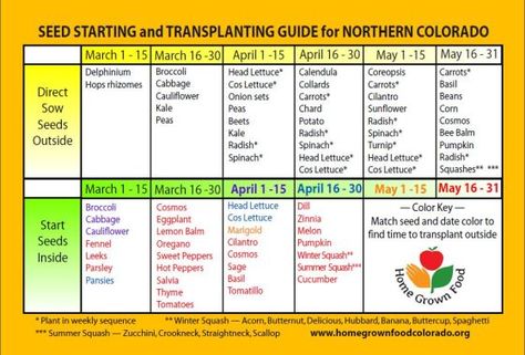 Northern Colorado: zone-5-seed-starting-planting-calendar Seed Starting Calendar, Colorado Gardening, Flower Garden Plans, When To Plant Vegetables, Planting Calendar, Succession Planting, Corn Seed, Gardening Zones, Backyard Plants