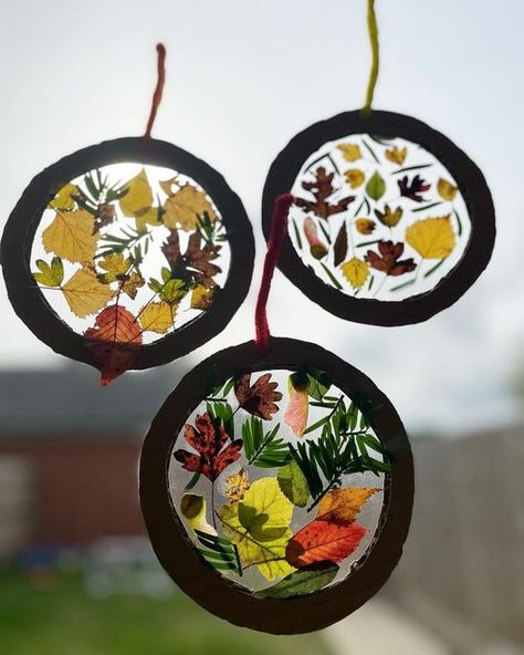 Mummy to boys on Instagram: "🍂Autumn sun catchers🍂 We found loads of miniature leaves on our walk the other day so we made some autumn sun catches with them. I cut out some circles of cardboard then covered 1 side with some contact paper & let the boys loose. I made one too & we all loved it & spent a good 10 minutes picking leaves & putting them on our sun catchers, all sitting together!! Resources we used: •cardboard •contact paper •pipe cleaners to hold them up •leaves #mummytoboys #mes Wax Paper Sun Catcher, Sitting Together, Autumn Sun, Instagram Autumn, Pipe Cleaners, Seasons Art, Dinosaur Art, Contact Paper, Fall Diy