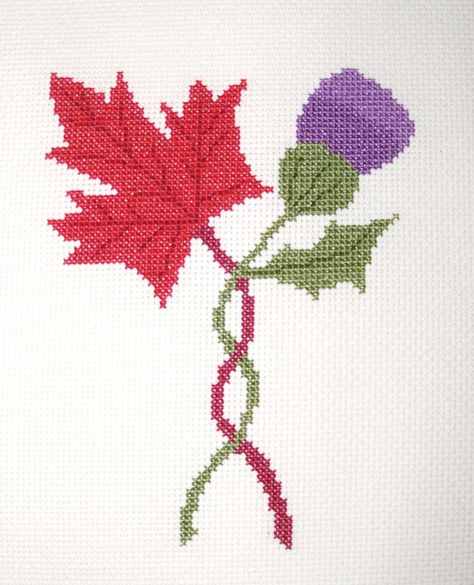 Thistle & Maple Leaf Cross Stitch Pattern by BonnieThistleDesigns, $7.00 Scottish Cross Stitch, Scottish Cross Stitch Patterns, Scottish Thistle Embroidery Pattern, Scottish Thistle Cross Stitch Pattern, Scotland Tattoo, Larkspur Cross Stitch Pattern, Scottish Tattoos, Thistle Flower, Needlework Crafts