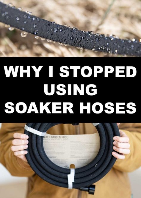 Why I Stopped Using Soaker Hoses - The Seasonal Homestead Soaker Hose Irrigation, Drip Hose, Drip Tape, Soaker Hose, Foundation Planting, Market Garden, Drip Irrigation, Seasonal Garden, Garden Irrigation System