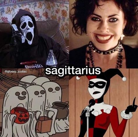 Sagittarius Character, New Zodiac Signs, Zodiac Sagittarius Facts, Sagittarius Girl, Sagittarius Quotes, Sagittarius Women, Zodiac Funny, Zodiac Signs Sagittarius, Zodiac Sign Traits