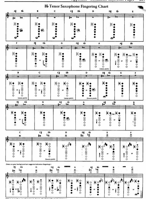 Saxophone Fingering Chart, Bari Sax, Music Theory Lessons, Saxophone Music, Music Tech, Tenor Saxophone, Music Theory, Music Lessons, Bari