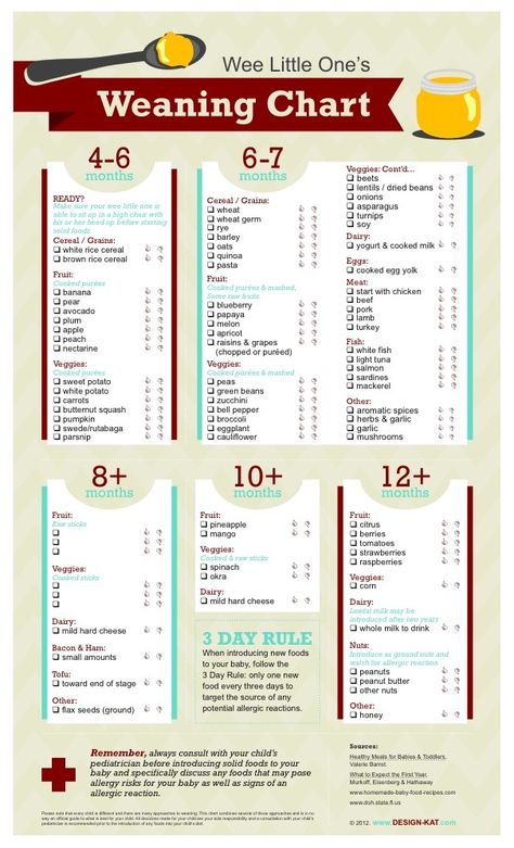 Age guide to introducing solids for baby Baby Nutrition, Baby Food Chart, Food Chart, Baby First Foods, Introducing Solids, Food Homemade, Homemade Baby Foods, Baby Weaning, Food Charts