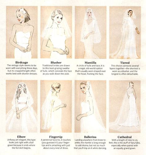 Types Of Wedding Veils, Veil Placement, Types Of Veils, Baju Kahwin, Hijab Wedding Dress, Bridal Salon, Short Wedding Dress, Wedding Veils, Wedding Veil