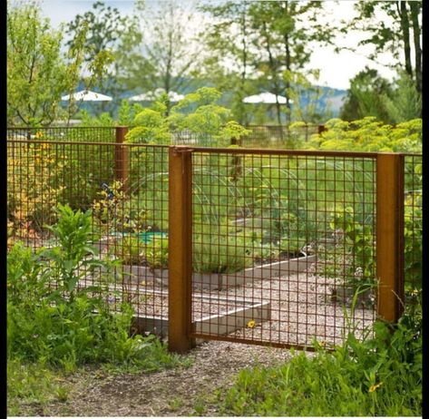 Fence Options, Kitchen Gardens, Contemporary Barn, Cheap Fence, Steel Fence, Front Yard Fence, Pool Fence, Fence Landscaping, Modern Fence