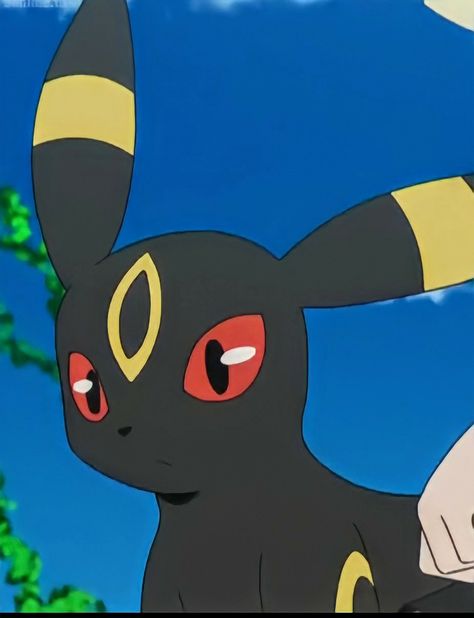 Pokemon Pfps Aesthetic, Lucario Pfp, Umbreon Pfp, Best Pokemon Ever, Bear Pokemon, Pokemon Umbreon, Cool Pokemon Wallpapers, Pokemon Eeveelutions, Pokemon Theme