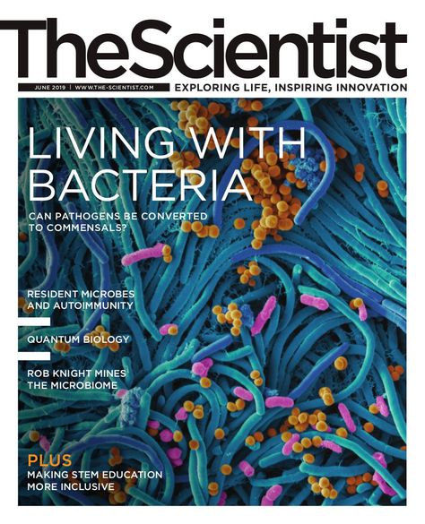 Scientific Magazine, Magazine Cover Layout, Magazine Cover Ideas, 잡지 레이아웃, Research Poster, Scientific Journal, Scientific Articles, Science Magazine, Science Illustration