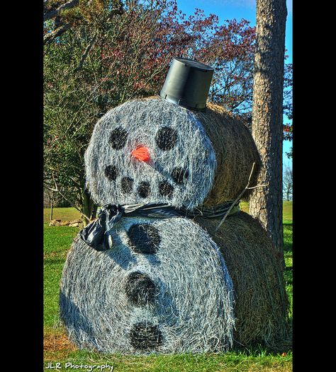 Snowman Hay Bale, Hay Bale Snowman, Hay Bale Christmas Ideas, Christmas Hay Bales, Hay Decorations, Christmas Hay Bale, Hay Bale Christmas, Driveway Decor, Hay Bale Fall Decor