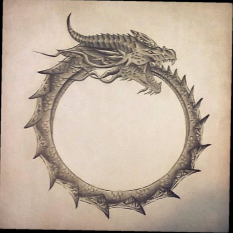 Seven Headed Dragon, Ourobos Tattoo, Ourbourous Tattoo Design, Dragon Circle Tattoo, Ira Tattoo, Dragon Head Tattoo, Norse Mythology Tattoo, Arte Viking, Ouroboros Tattoo