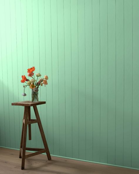 Acadia Green 2034-50 | Benjamin Moore Green Paint Colors Benjamin Moore, Paint Color Swatches, Pistachio Color, Exterior Stain, Green Paint Colors, Paint Colors Benjamin Moore, Benjamin Moore Colors, Benjamin Moore Paint, Green Home Decor